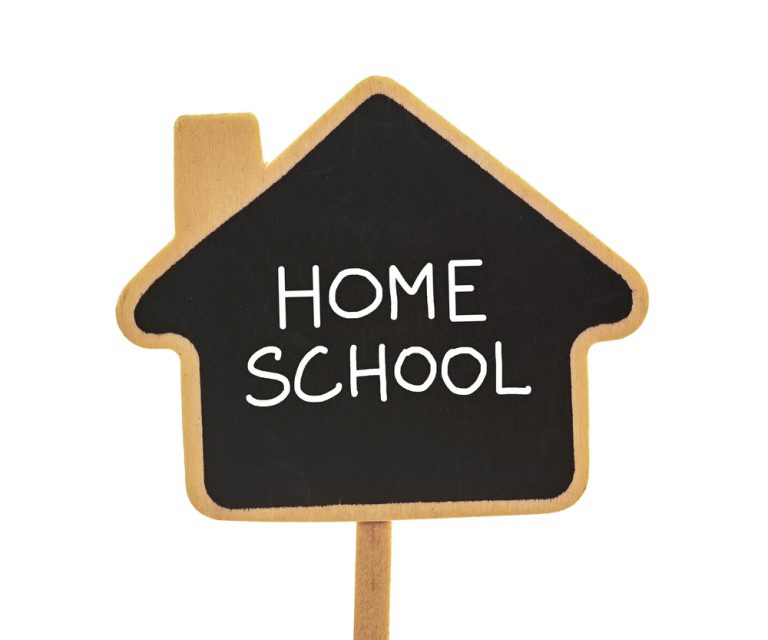Read more about the article Breaking down home schooling barriers