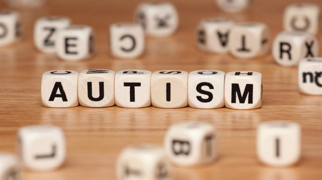 Read more about the article Understanding Autism